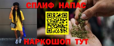 МДПВ Можга